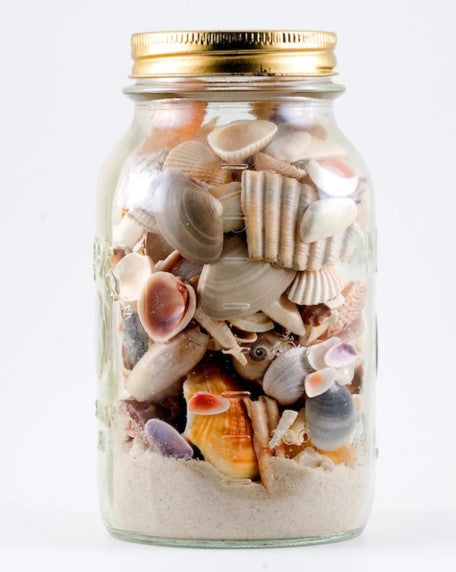 Sensory / Fine Motor