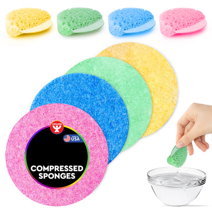 Compressed Sponges