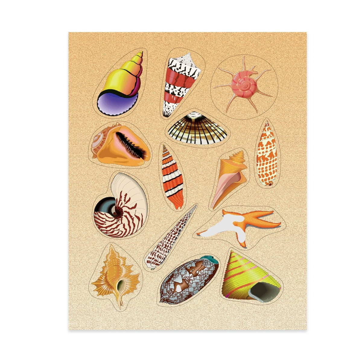 Sea Shell Stickers | Stickers for Kids | Hygloss Products