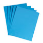 Large Bright Cardstock (23 x 35-Inch) Single Colors