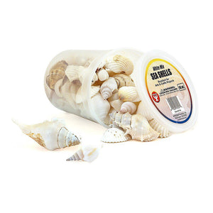 Bucket O` Sea Shells