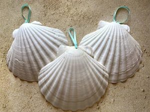 beach christmas decoration seashell