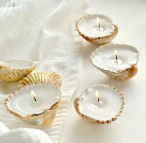 seashell candles