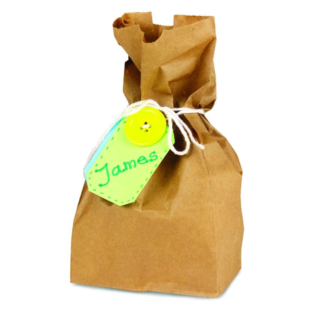 OPP laminated kraft bags – paper bags