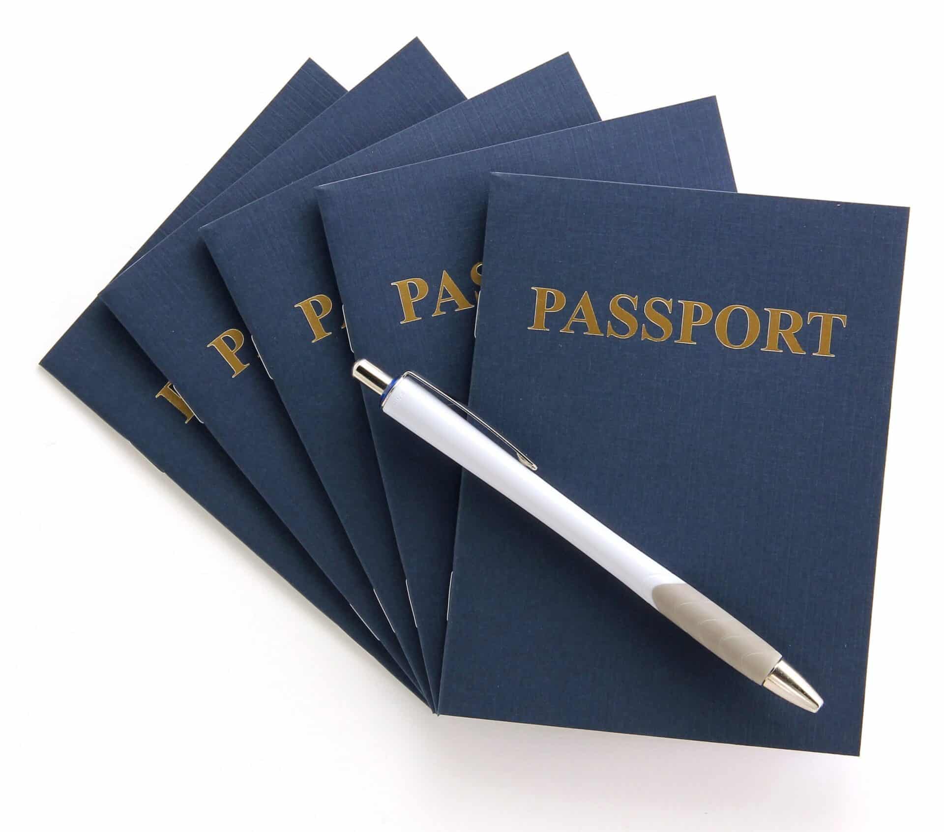 Passport Books (Blank Pages)