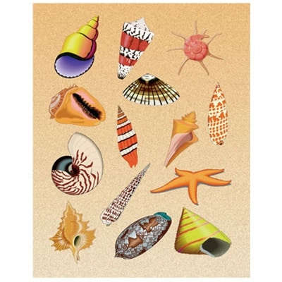 Sea Shells Sticker Forms